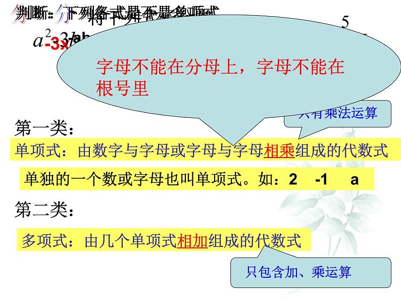 浙教版数学七年级上册 4.4整式（课件）03