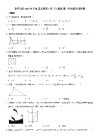 北师大版八年级上册第一章 勾股定理综合与测试同步训练题