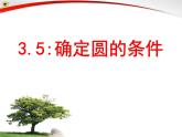 北师大版九年级下册第三章  3.5确定圆的条件课件PPT