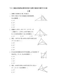 北师大版八年级上册5 三角形的内角和定理精品同步达标检测题