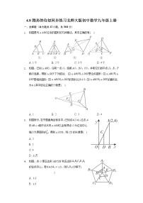 初中数学北师大版九年级上册第四章 图形的相似8 图形的位似精品精练