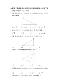 数学九年级下册1 锐角三角函数精品综合训练题