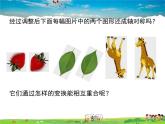 人教版数学九年级上册-23.2.1 中心对称课件PPT