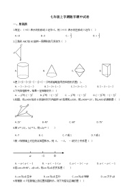 2021年河北省新乐市七年级上学期数学期中试卷附答案