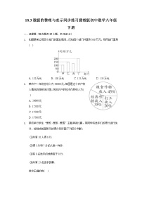 初中18.3 数据的整理与表示精练