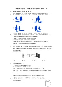 湘教版九年级下册3.1 投影精品课时训练