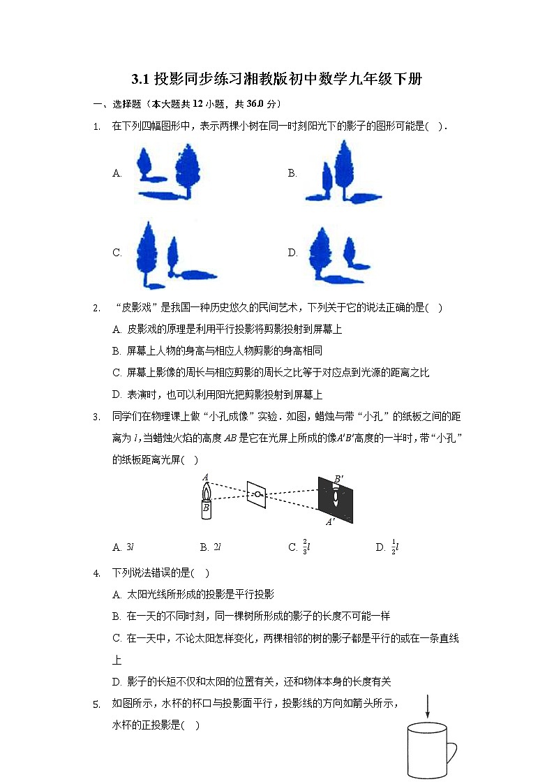 3.1投影 同步练习 湘教版初中数学九年级下册01