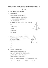 初中数学湘教版八年级下册1.3 直角三角形全等的判定课时练习