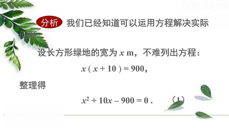 华东师大版九年级数学上册22.1一元二次方程 课件第6页