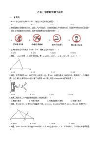 2021年山东省滨州市八级上学期数学期中试卷