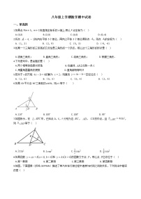 2021年安徽省濉溪县八年级上学期数学期中试卷