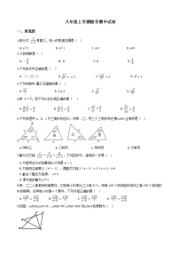 2021年河北省石家庄市八年级上学期数学期中试卷