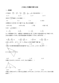 2021年湖南省株洲市八年级上学期数学期中试卷