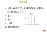 冀教版九年级下册数学 第32章 32.1 投影 习题课件