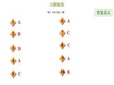 冀教版九年級下冊數(shù)學(xué)習(xí)題課件 期末復(fù)習(xí)專題練 5.專題五  隨機事件的概率