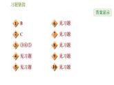沪科版九年级数学 第25章 专题技能训练(五)  平行投影、中心投影、正投影几种常见应用 习题课件