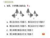 沪科版九年级数学 第25章 专题技能训练(五)  平行投影、中心投影、正投影几种常见应用 习题课件