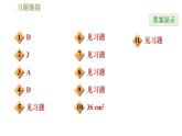 沪科版九年级数学 第25章 全章整合与提升 习题课件