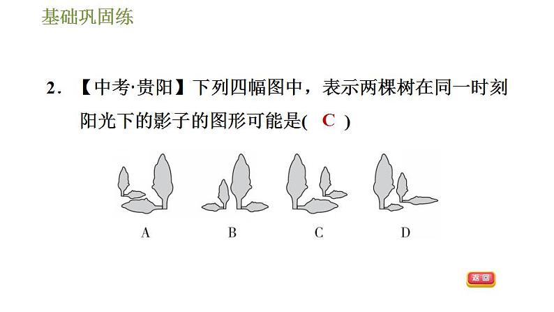 沪科版九年级数学 第25章 25.1.1 平行投影与中心投影 习题课件第8页