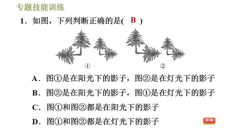 沪科版九年级数学 第25章 专题技能训练(五)  平行投影、中心投影、正投影几种常见应用 习题课件第3页