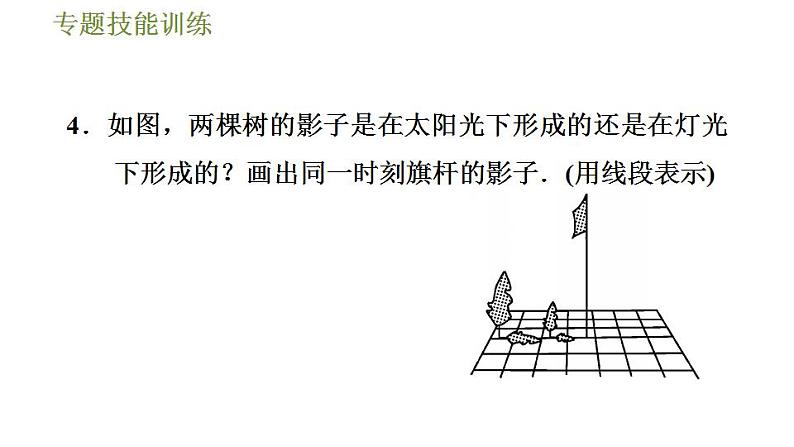 沪科版九年级数学 第25章 专题技能训练(五)  平行投影、中心投影、正投影几种常见应用 习题课件第6页