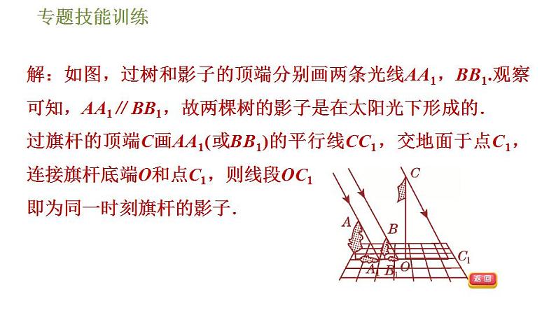 沪科版九年级数学 第25章 专题技能训练(五)  平行投影、中心投影、正投影几种常见应用 习题课件第7页