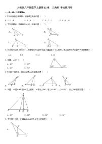 人教版八年级上册第十一章 三角形综合与测试巩固练习