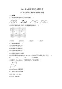 初中数学人教版八年级上册12.1 全等三角形精品综合训练题