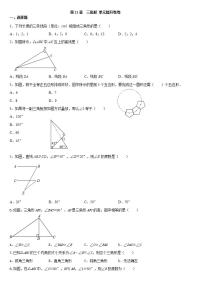 人教版八年级上册第十一章 三角形综合与测试课时作业