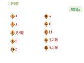 沪科版九年级数学 第25章 25.1.1 平行投影与中心投影 习题课件