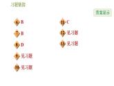 滬科版九年級(jí)數(shù)學(xué) 第24章 24.3.2 圓周角和直徑的關(guān)系 習(xí)題課件