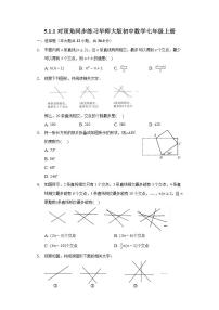 数学七年级上册1 对顶角优秀课时训练