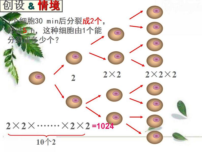 华东师大版七年级数学上册第2章2.11有理数的乘方 课件第3页