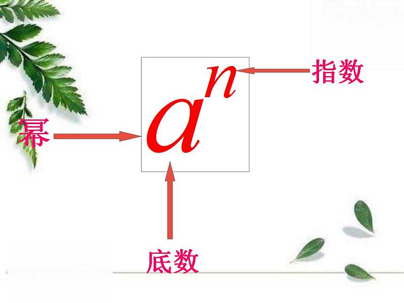 华东师大版七年级数学上册第2章2.11有理数的乘方 课件第5页