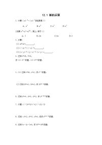 数学八年级上册12.1 幂的运算综合与测试测试题