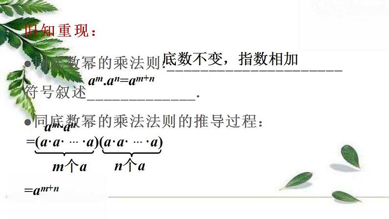 华师大版八年级上册数学 12.1 幂的运算 同步课件02