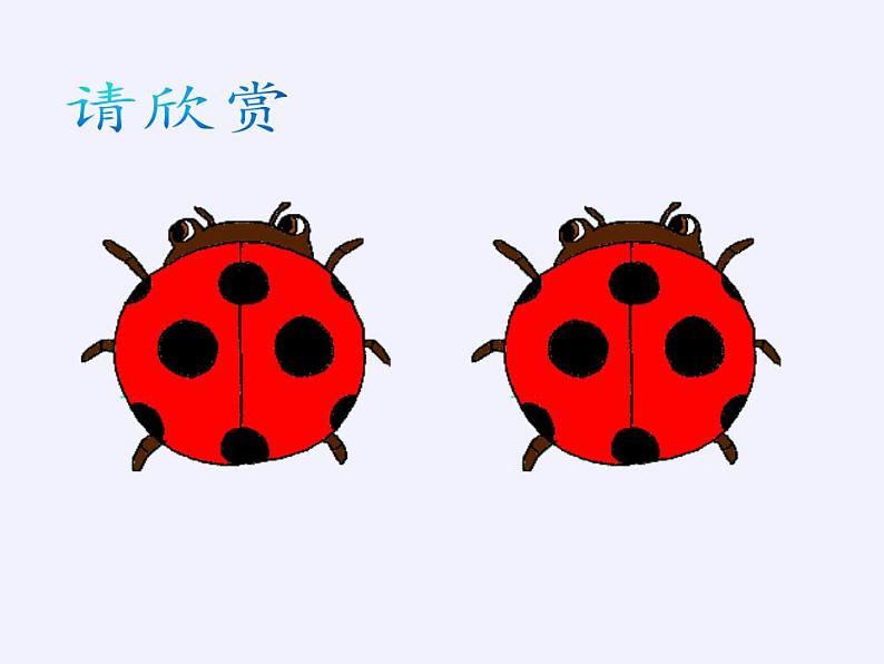 苏科版八年级数学上册 1.1 全等图形(5)（课件）第3页