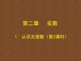 2.1 认识无理数（9）（课件）数学八年级上册-北师大版