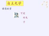 蘇科版八年級數(shù)學上冊 1.1 全等圖形(7)（課件）