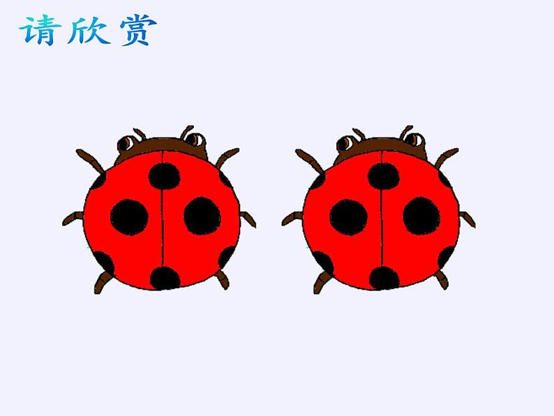 苏科版八年级数学上册 1.2 全等三角形(6)（课件）02