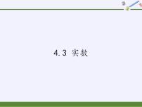 数学4.3 实数课文内容ppt课件