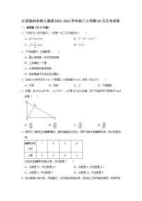 江苏省扬州市树人集团2021-2022学年九年级上学期10月月考数学试卷