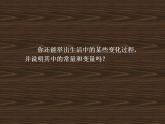 苏科版八年级数学上册 6.1 函数_(3)（课件）
