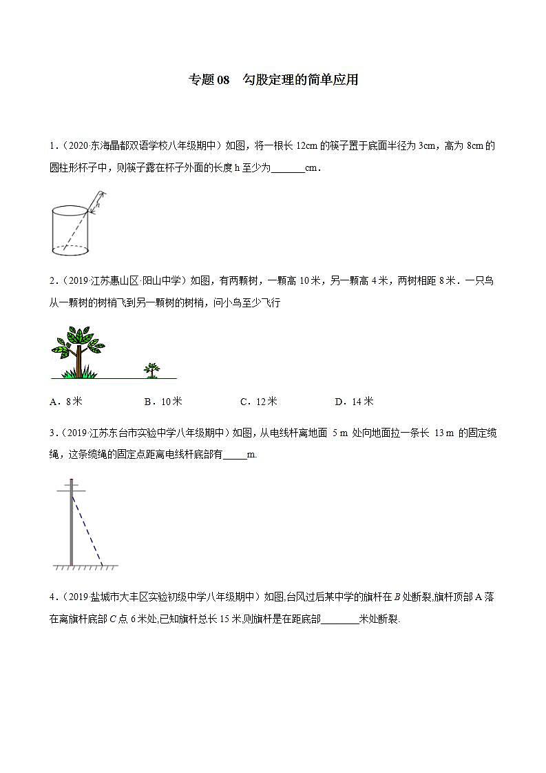 专题08 勾股定理的简单应用八年级数学上学期期中考试好题汇编（苏科版）（解析版）01