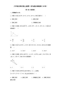 北师大版八年级上册第一章 勾股定理综合与测试课时训练