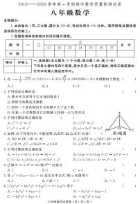 河南省洛阳市新安县2019-2020学年八年级上学期期中教学质量检测数学试题(PDF)（含答案）