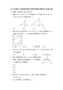 九年级上册1. 相似三角形优秀同步达标检测题