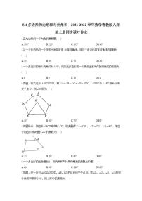 鲁教版 (五四制)八年级上册第五章 平行四边形4 多边形的内角与外角和达标测试