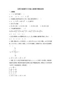 北师大版数学八年级上册期中模拟试卷02（含答案）