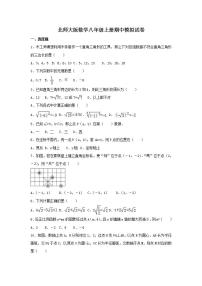 北师大版数学八年级上册期中模拟试卷05（含答案）